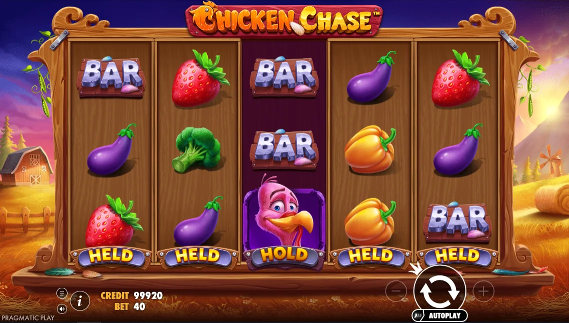 Chicken Chase Game